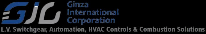 Ginza International Logo